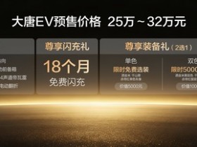 【WPT扑克】双航空座椅+超强闪充+3.9s加速 大唐WPT预售25万元起