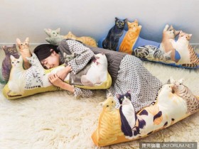【WPT扑克】『圍繞貓抱枕』讓你體驗被貓咪簇擁的感覺