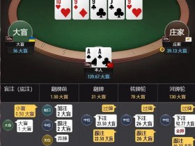 【WPT扑克】牌局分析:深筹码下AA的错误