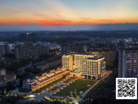 【WPT扑克】赛事信息 | DPT线上选拔“南海杯”资格赛火热开启!